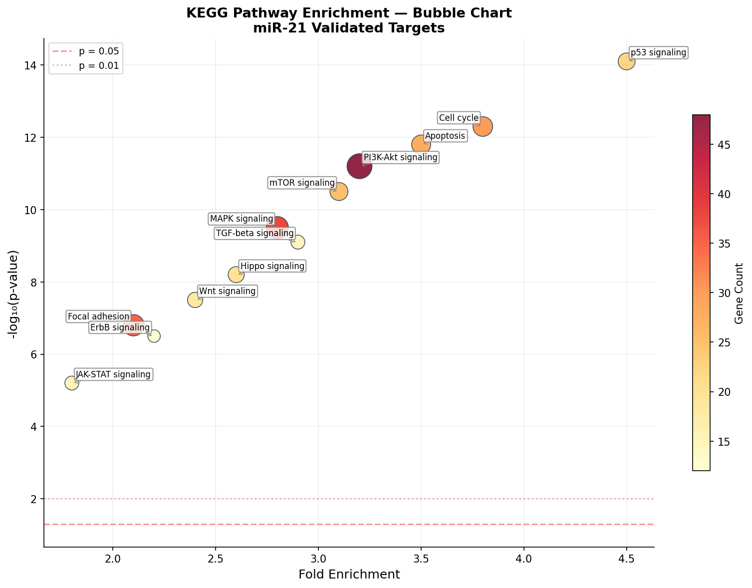 KEGG Pathway Enrichment Bubble Chart