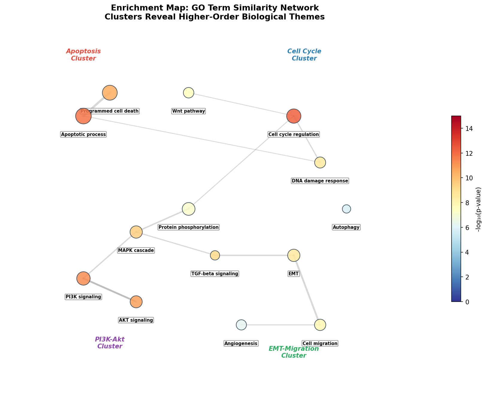 Enrichment Map: GO-Term-Ähnlichkeitsnetzwerk