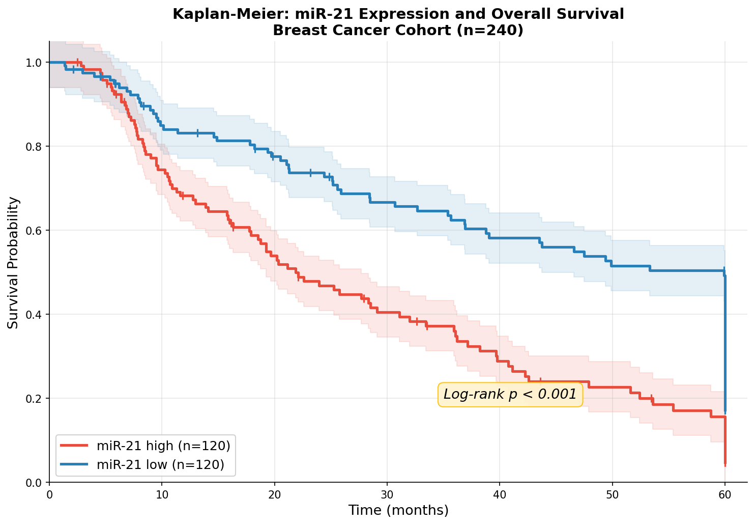 Kaplan-Meier: miR-21 hoch vs. niedrig — Gesamtüberleben Brustkrebs