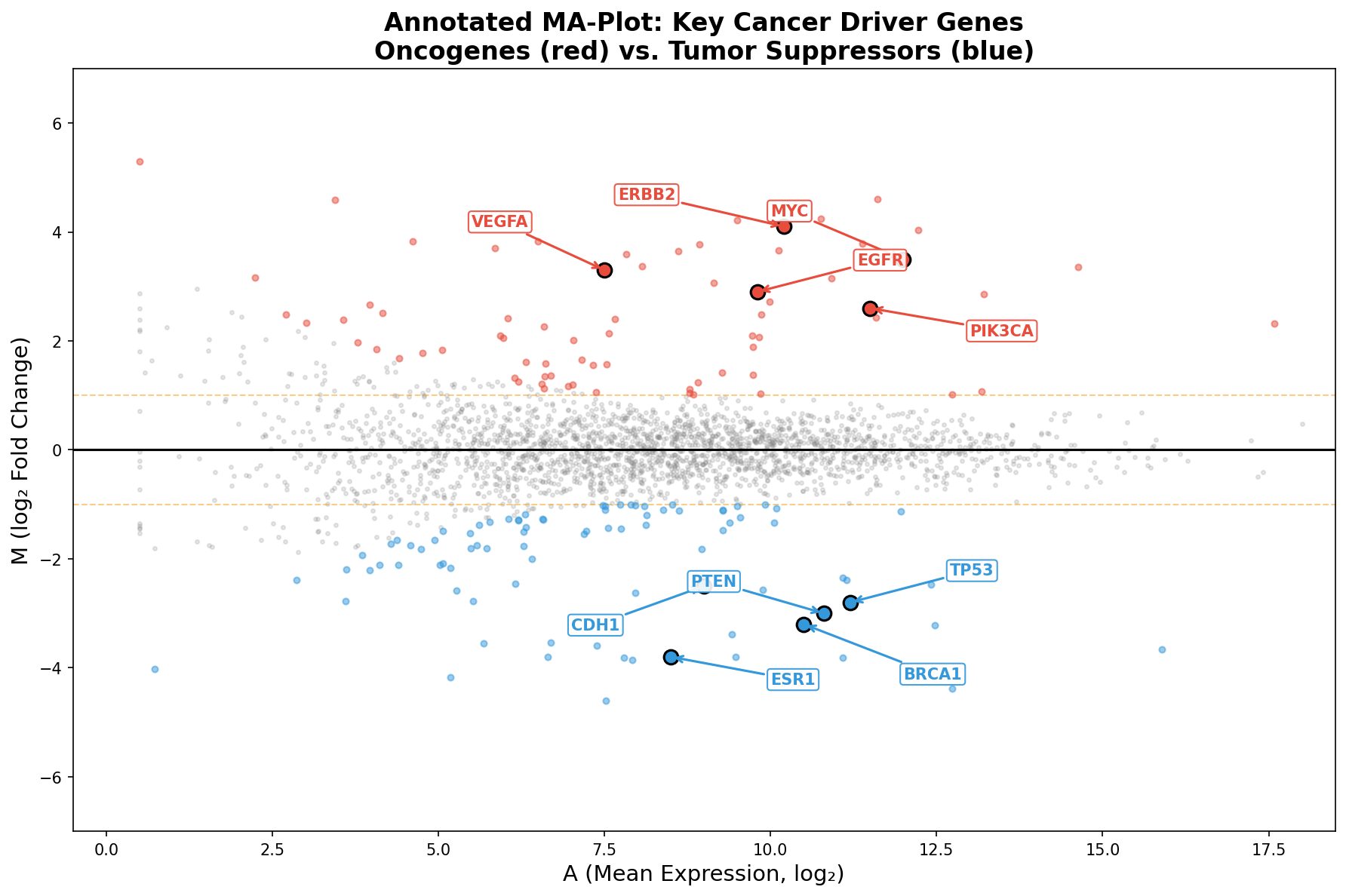 Annotierter MA-Plot mit Krebstreiber-Genen