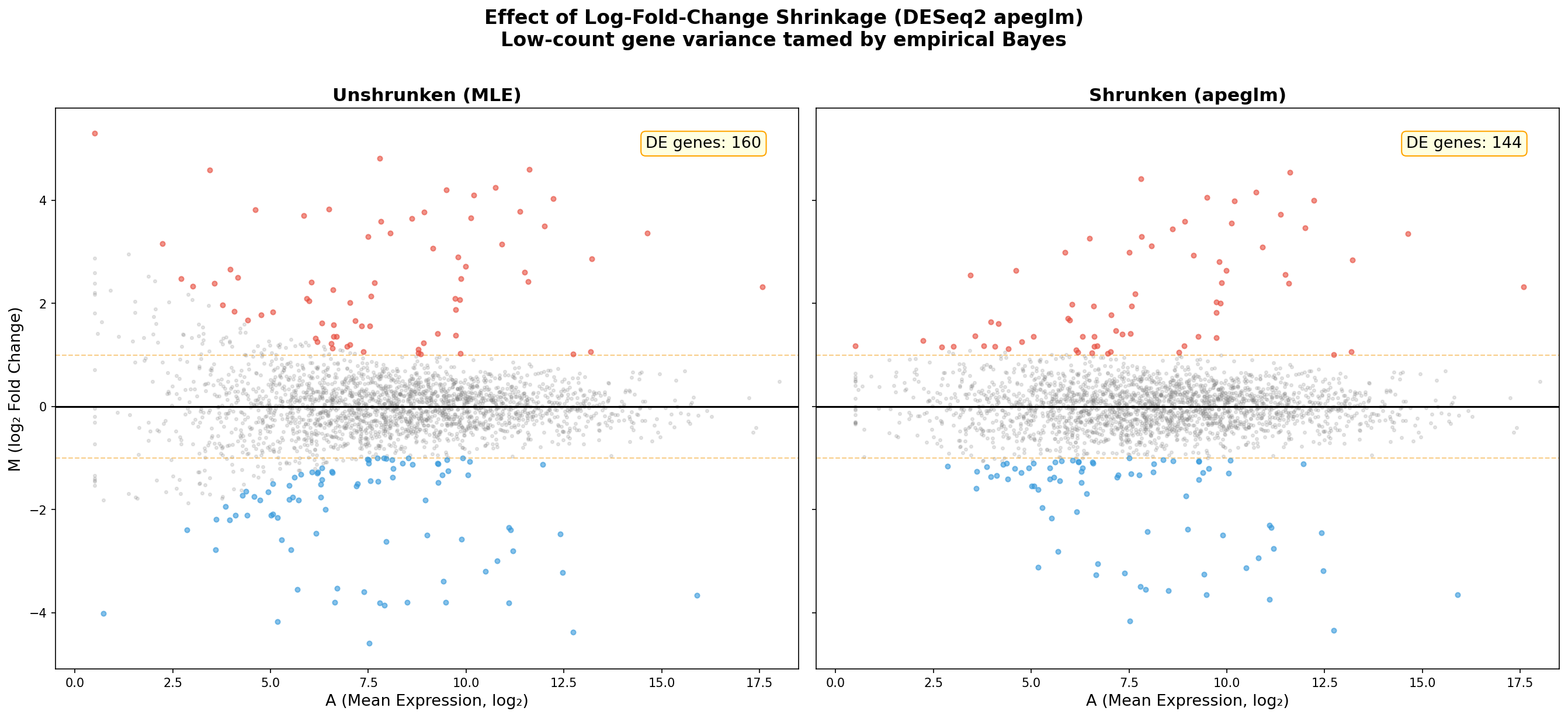 Vergleich: Ungeschrumpfte vs. geschrumpfte Fold Changes