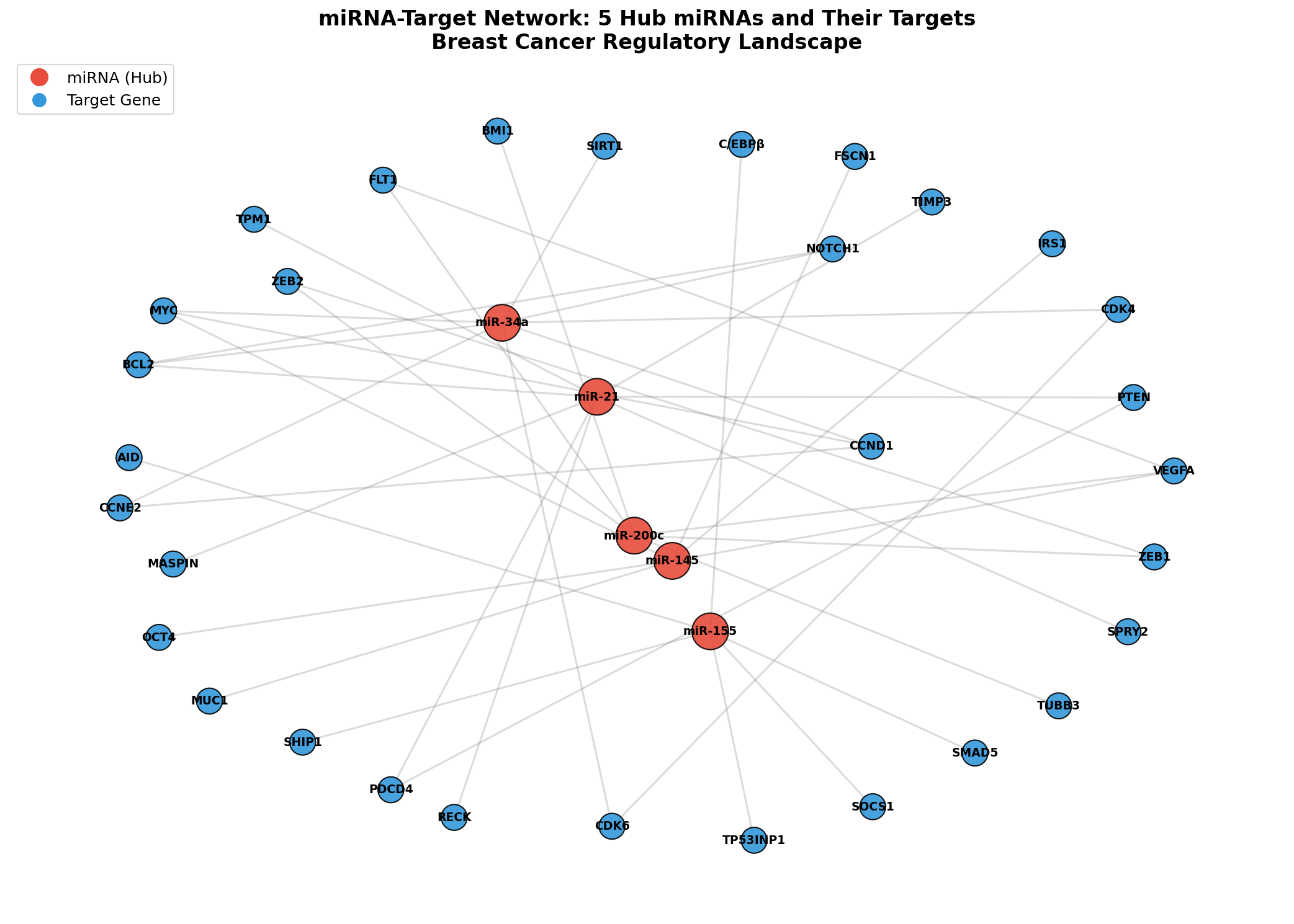 Basis-Netzwerk: miRNA-Target-Interaktionen im Brustkrebs