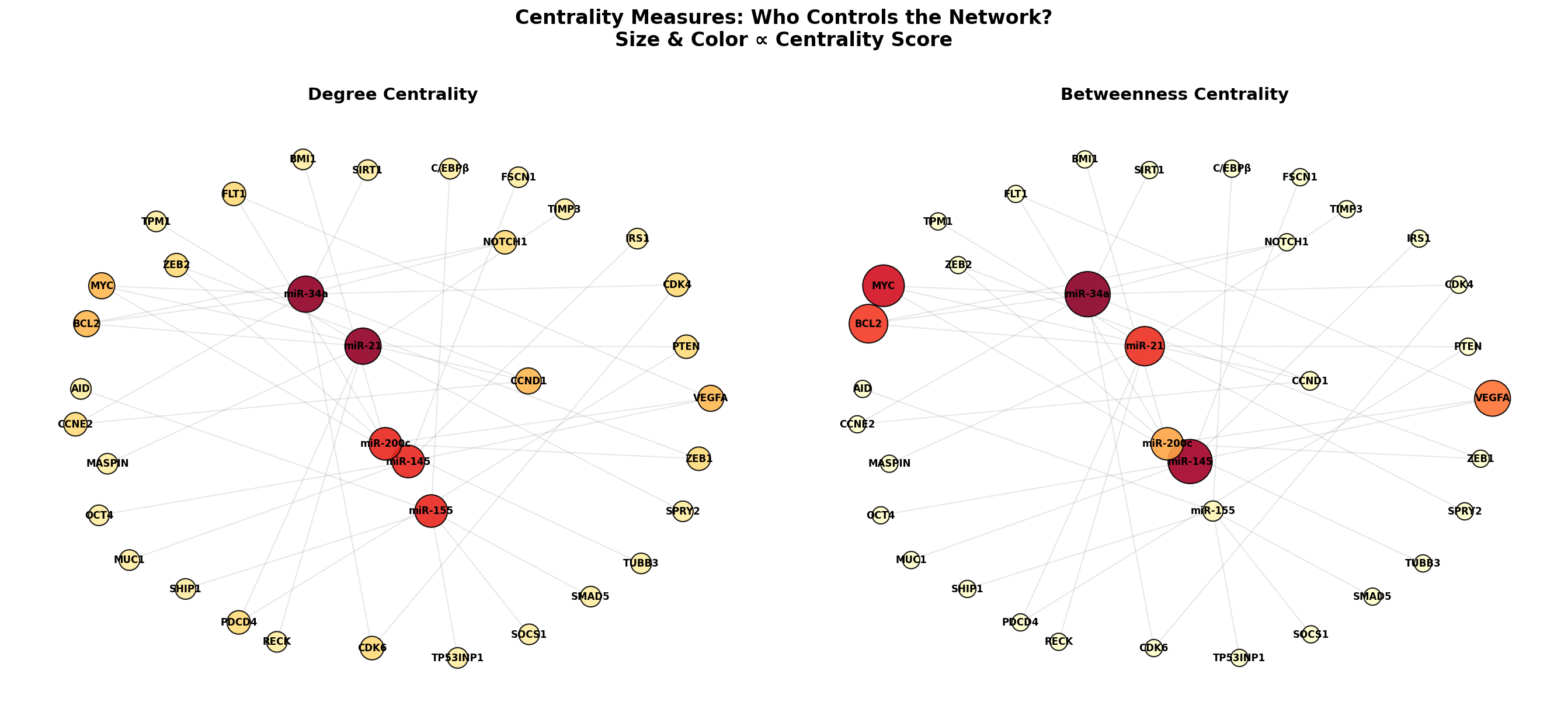 Zentralitätsvergleich: Degree vs. Betweenness