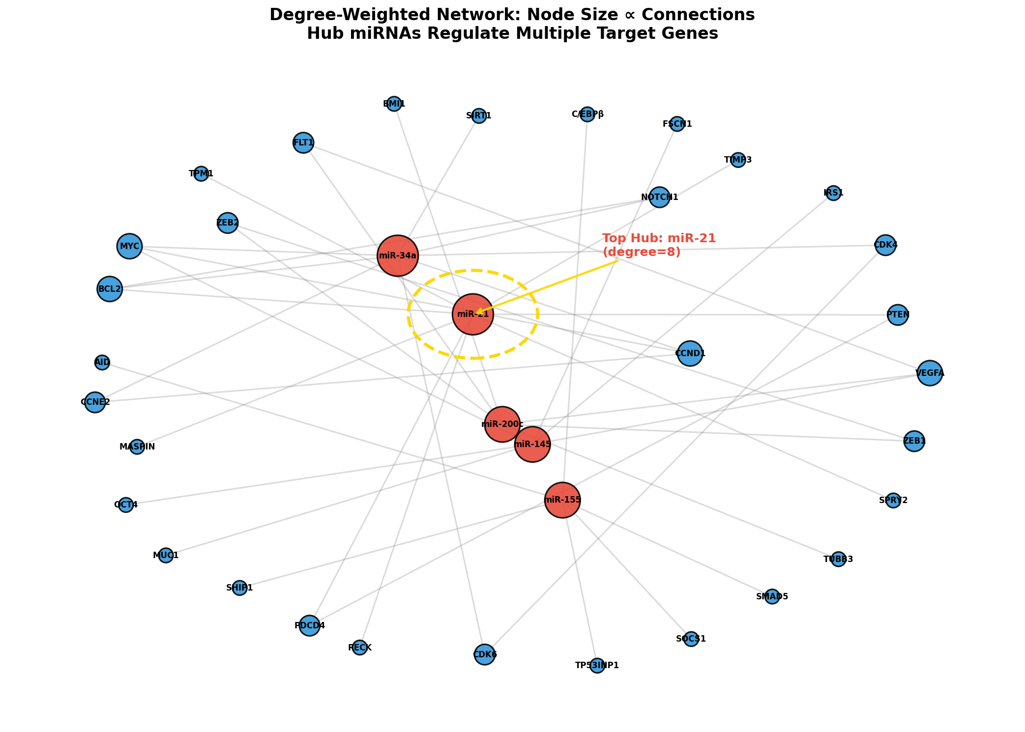 Grad-gewichtetes Netzwerk mit Hub-Hervorhebung