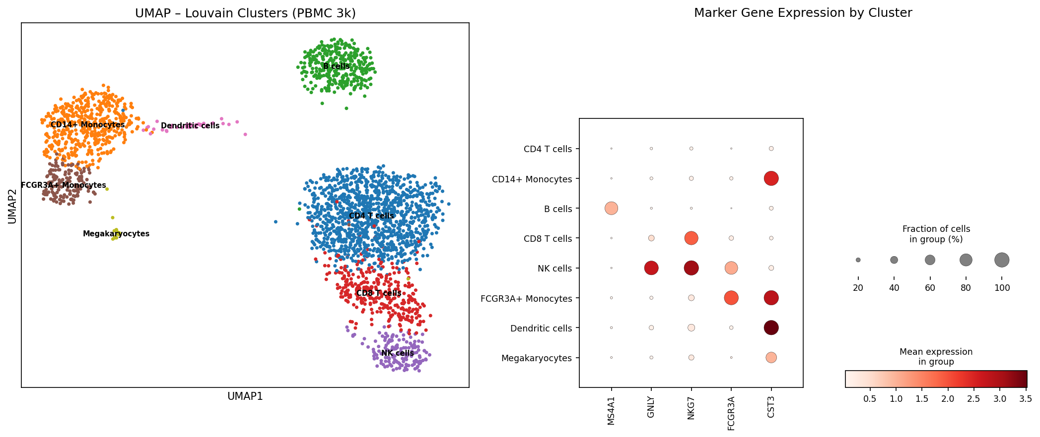 scanpy UMAP und Dotplot f&uuml;r TIL-Subpopulationen